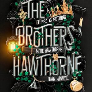 The Brothers Hawthorne: The bestselling twisty thriller and TikTok sensation
